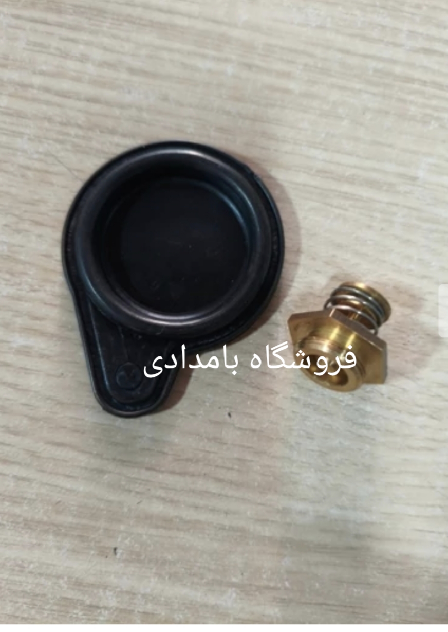 دیافراگم و مجموعه سوپاپ لورچ